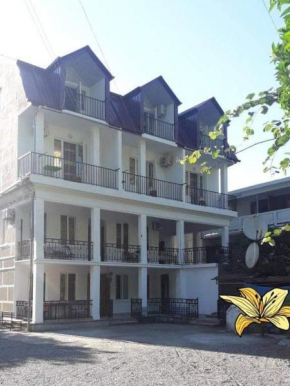 Temuka guest house